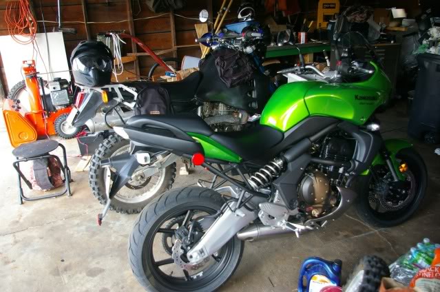 Name: stablemates.jpg
Views: 115
Size: 73.0 KB