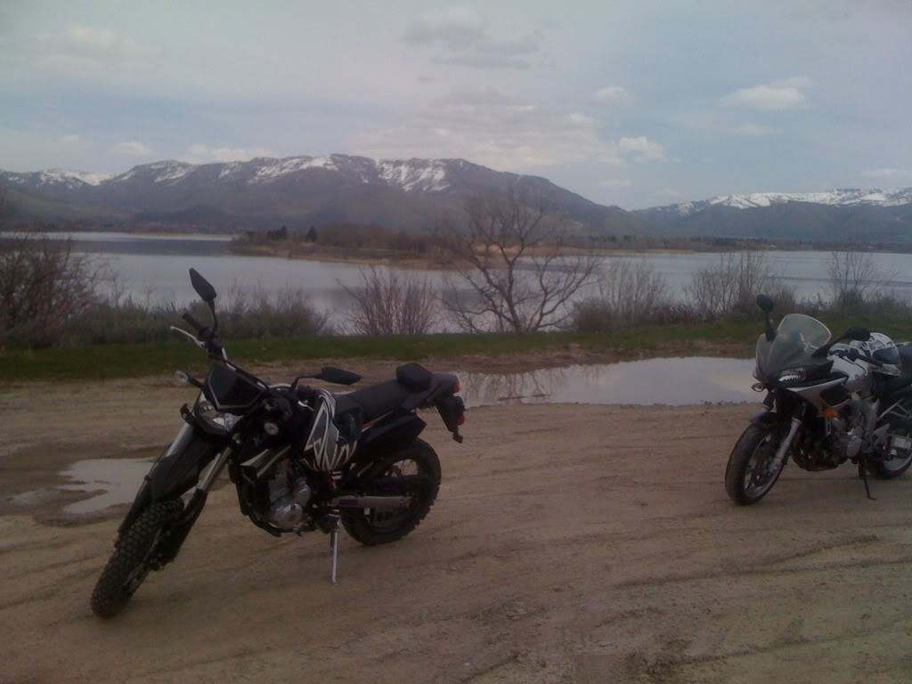 Name:  Picture004.jpg
Views: 162
Size:  73.4 KB