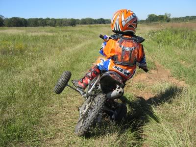 Name:  ktm50Mini025.jpg
Views: 26
Size:  37.9 KB