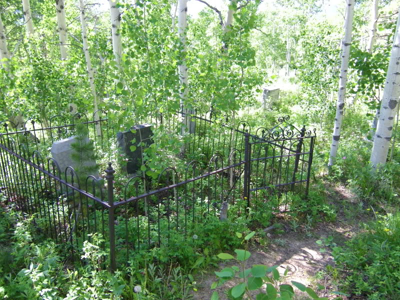 Name: Picture300.jpg
Views: 124
Size: 238.9 KB