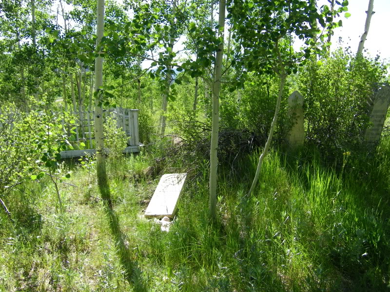 Name: Picture293.jpg
Views: 165
Size: 242.5 KB
