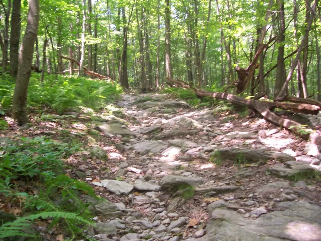 Name:  rockterrain2.jpg
Views: 24
Size:  202.2 KB