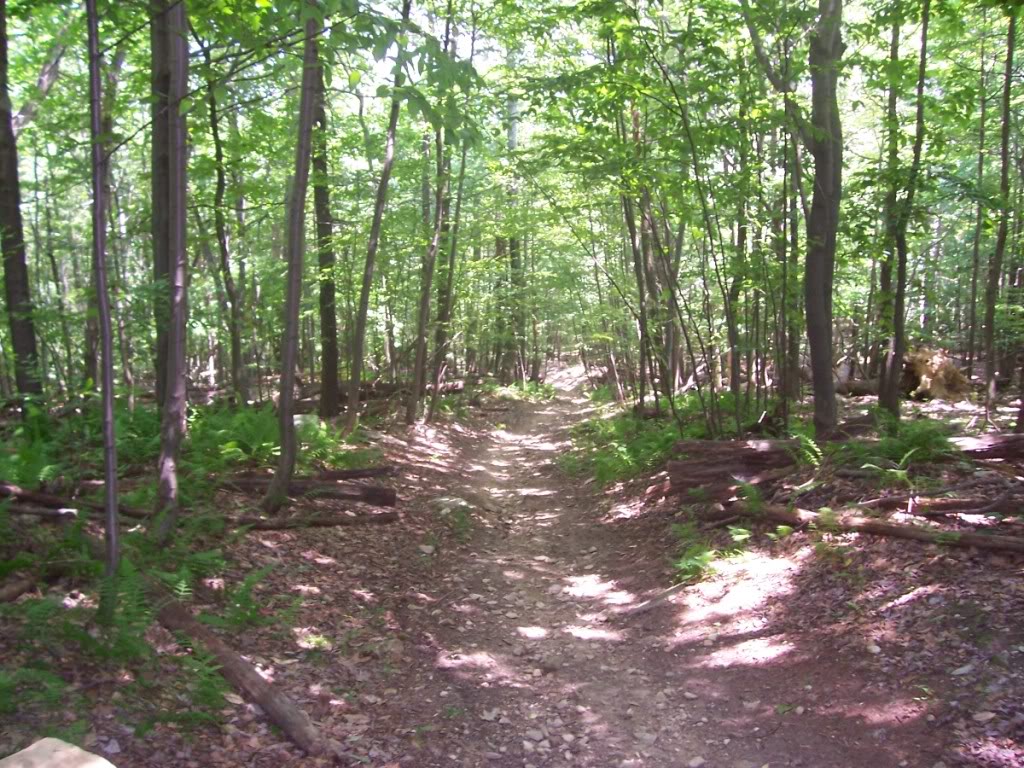 Name:  trailhill.jpg
Views: 23
Size:  228.8 KB