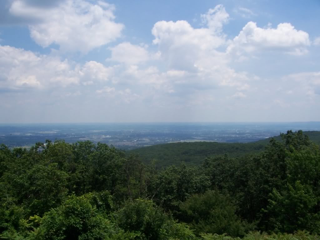 Name:  fredview.jpg
Views: 24
Size:  96.0 KB