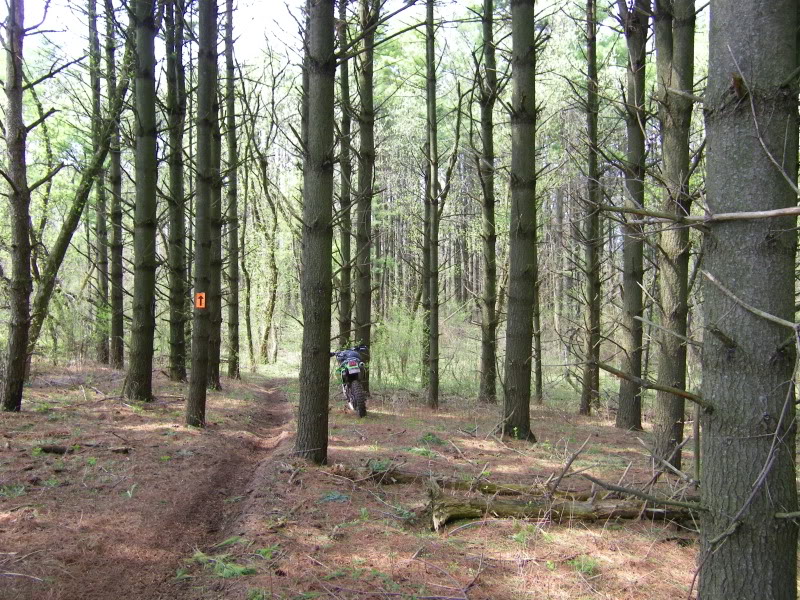 Name:  DualsportrideLeafRiver4-11-201094.jpg
Views: 88
Size:  215.2 KB