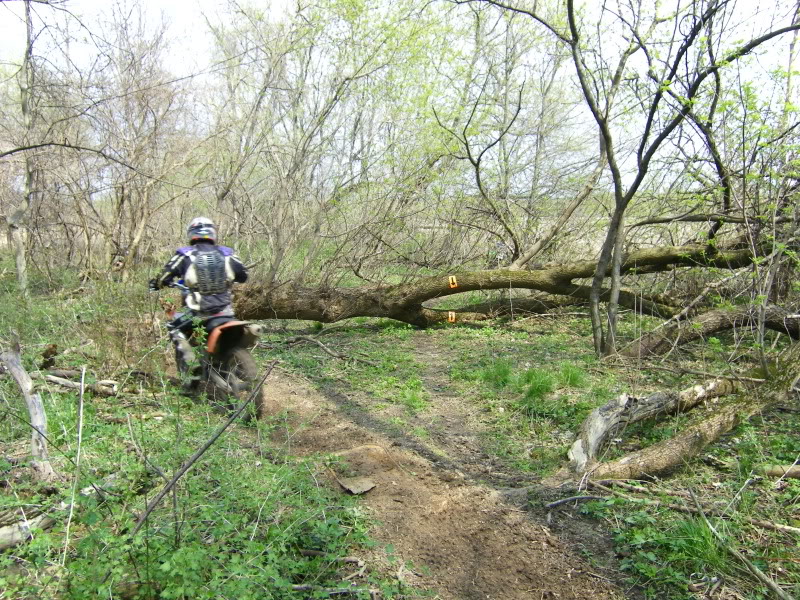 Name:  DualsportrideLeafRiver4-11-201095.jpg
Views: 89
Size:  233.5 KB