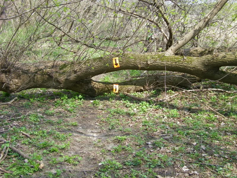 Name:  DualsportrideLeafRiver4-11-201097.jpg
Views: 86
Size:  251.1 KB
