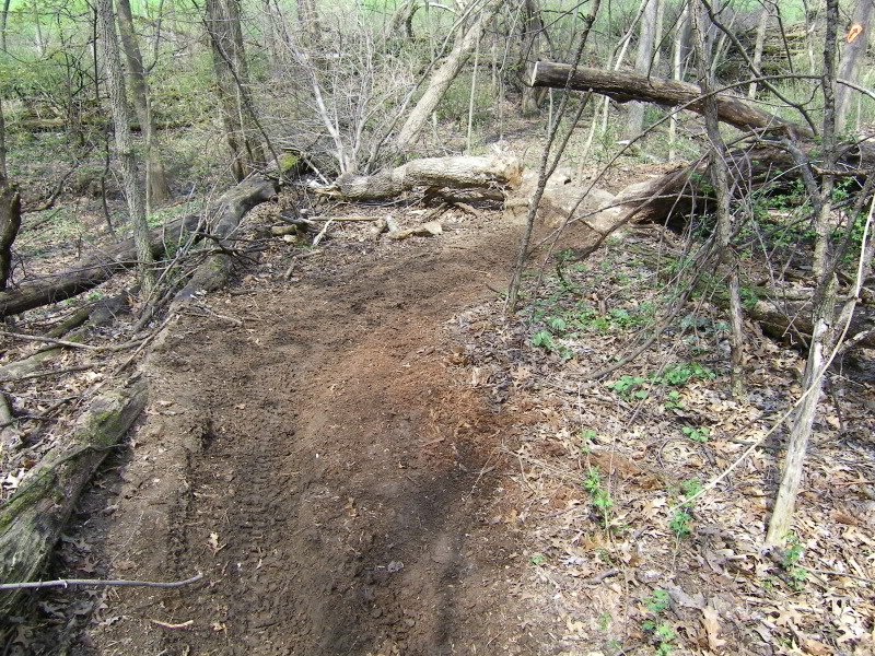 Name:  DualsportrideLeafRiver4-11-201050.jpg
Views: 81
Size:  253.0 KB