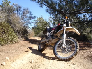 Name:  03122010HuskyRide-Miller09.jpg
Views: 27
Size:  54.0 KB