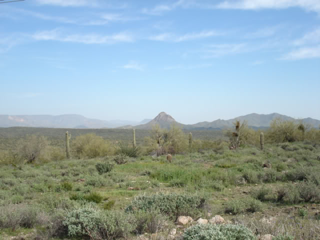 Name:  PHX-AZ_KLX250S-1.jpg
Views: 27
Size:  52.2 KB