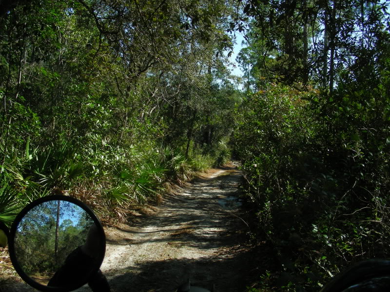 Name:  DSCN4372.jpg
Views: 50
Size:  232.2 KB