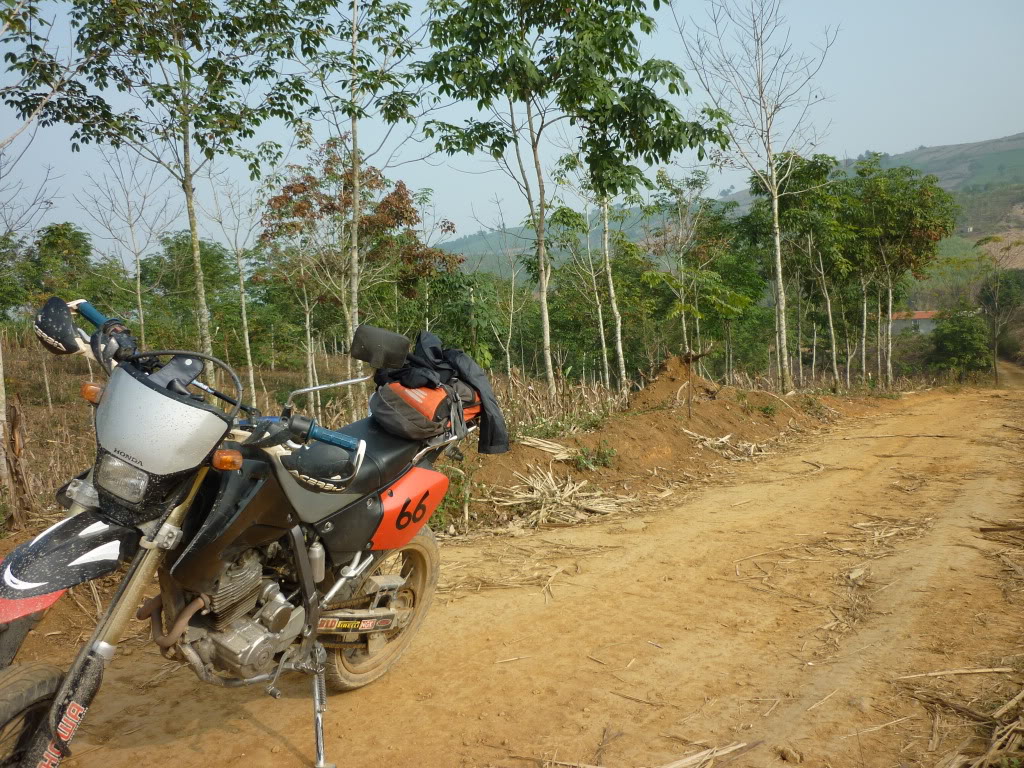 Name:  P1000272.jpg
Views: 2773
Size:  301.2 KB