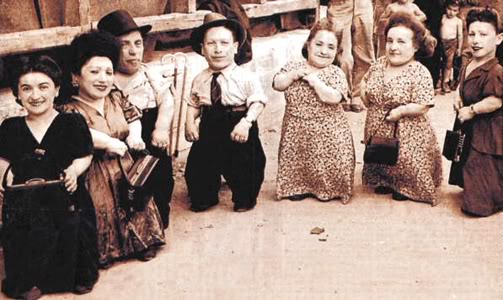 Name:  auschwitz-dwarfs.jpg
Views: 22
Size:  42.4 KB