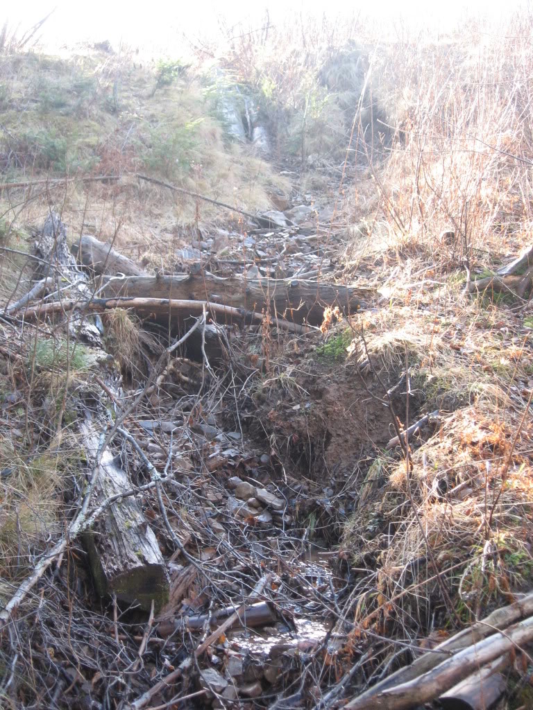 Name:  IMG_3126.jpg
Views: 24
Size:  275.6 KB