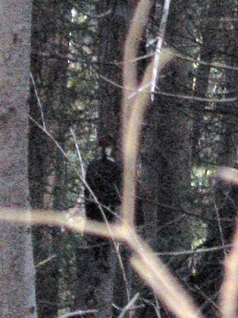 Name:  IMG_3123.jpg
Views: 19
Size:  132.2 KB