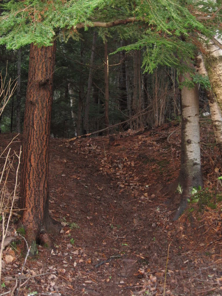 Name:  IMG_3127.jpg
Views: 19
Size:  271.8 KB