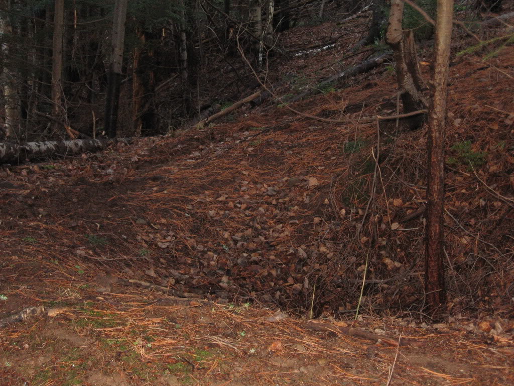 Name:  IMG_3128.jpg
Views: 20
Size:  253.5 KB