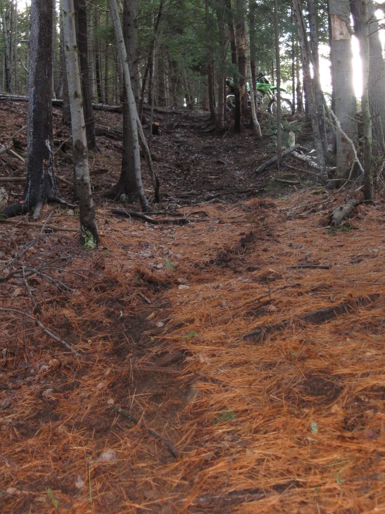 Name:  IMG_3129.jpg
Views: 19
Size:  243.2 KB