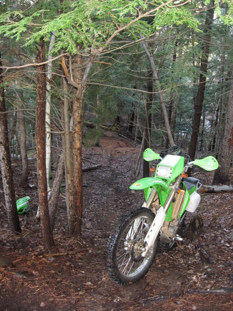 Name:  IMG_3124.jpg
Views: 21
Size:  302.6 KB