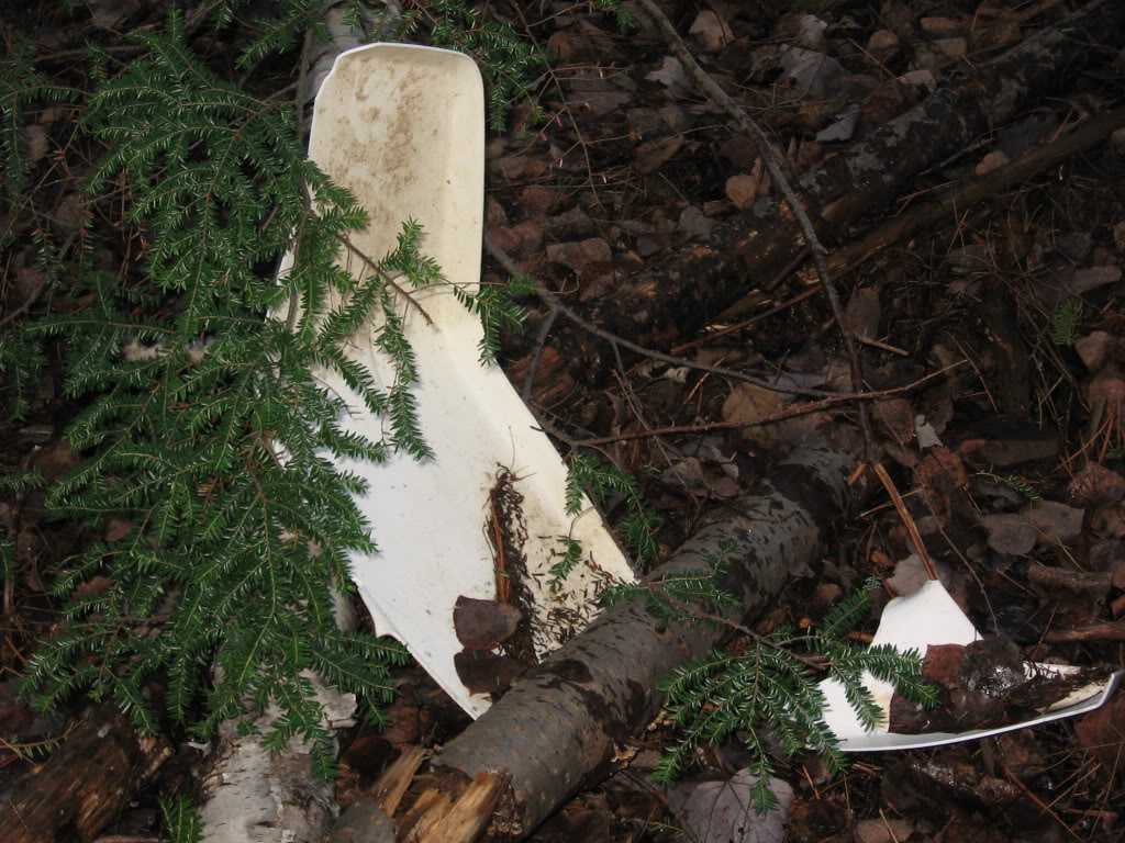 Name:  IMG_3125.jpg
Views: 24
Size:  206.5 KB