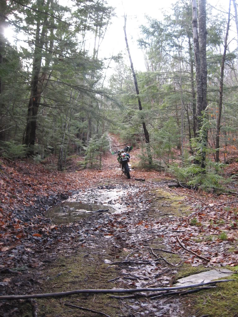 Name:  IMG_3130.jpg
Views: 21
Size:  300.3 KB