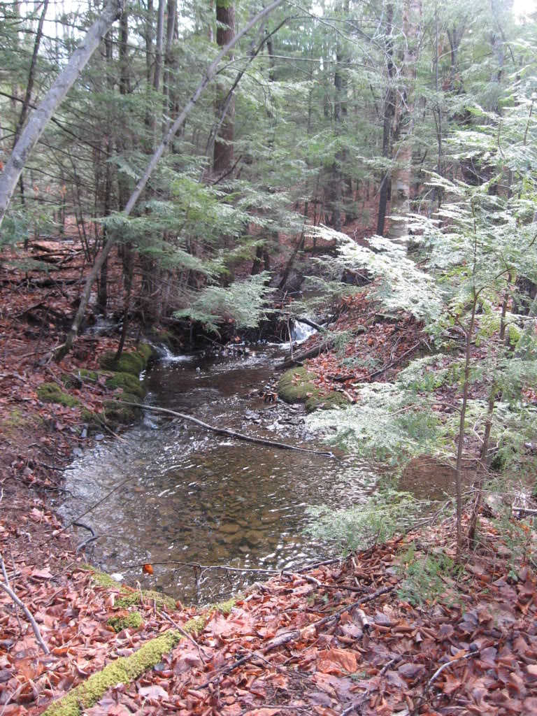 Name:  IMG_3131.jpg
Views: 20
Size:  317.7 KB