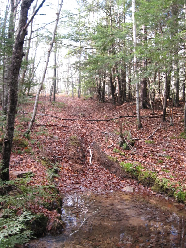 Name:  IMG_3135.jpg
Views: 16
Size:  289.9 KB