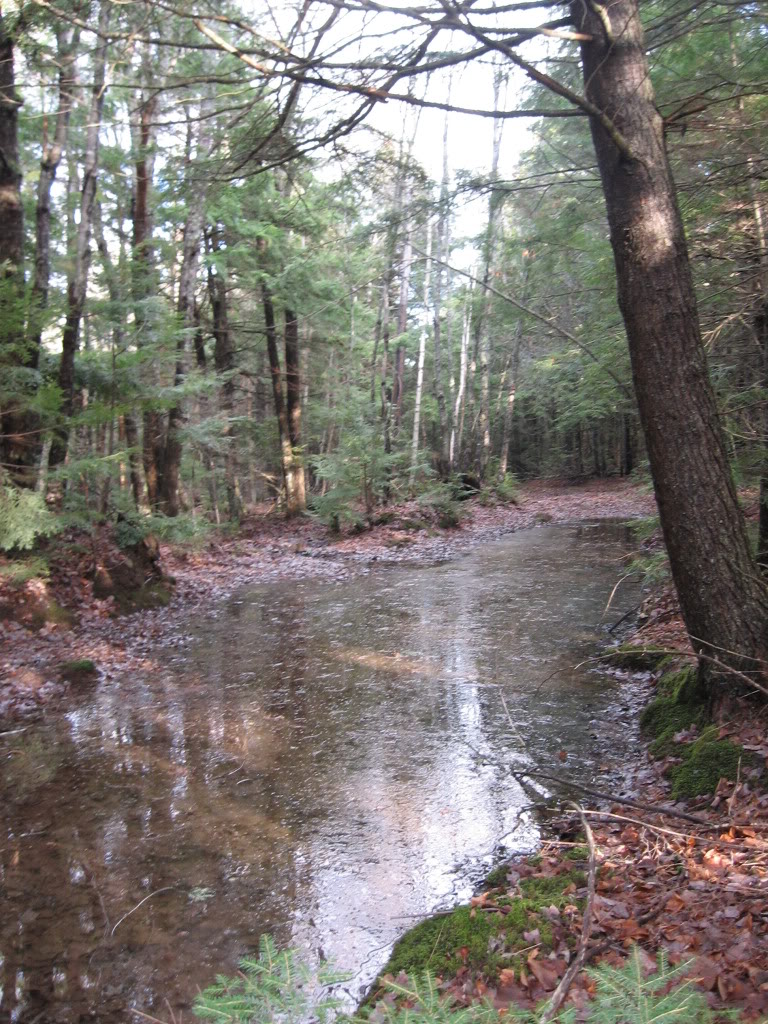 Name:  IMG_3136.jpg
Views: 20
Size:  250.2 KB