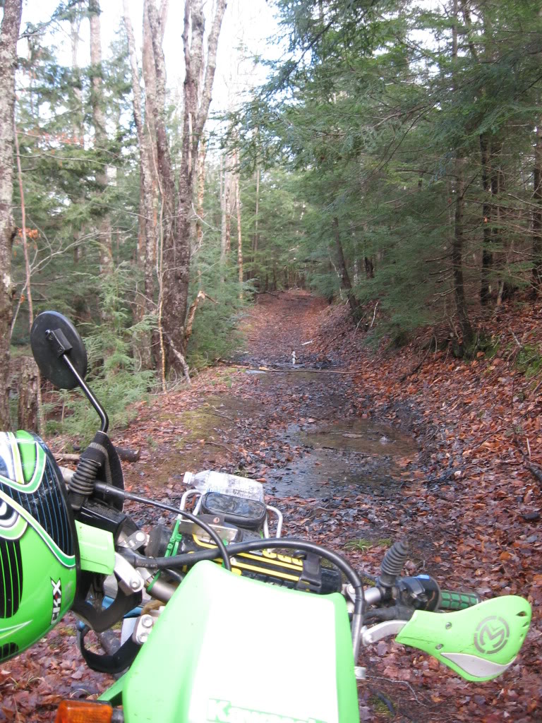 Name:  IMG_3133.jpg
Views: 20
Size:  254.1 KB