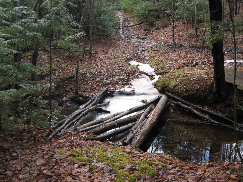 Name:  IMG_3132.jpg
Views: 17
Size:  299.3 KB