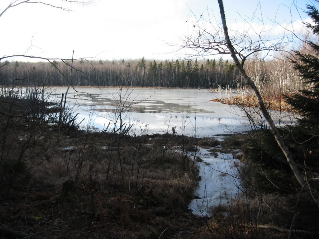 Name:  IMG_3137.jpg
Views: 21
Size:  192.1 KB