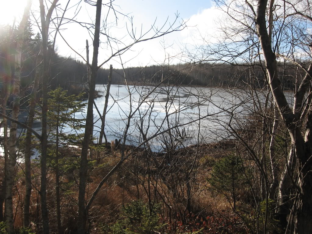 Name:  IMG_3138.jpg
Views: 17
Size:  280.4 KB