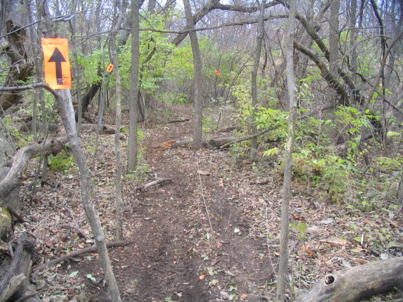 Name: IMG_4712.jpg
Views: 80
Size: 202.2 KB