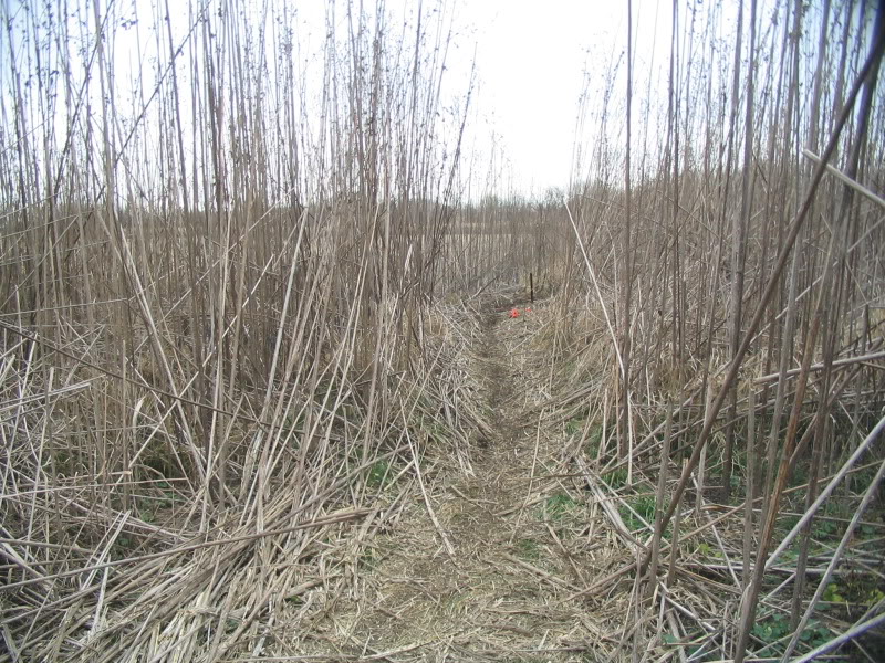 Name:  IMG_4703.jpg
Views: 28
Size:  193.9 KB