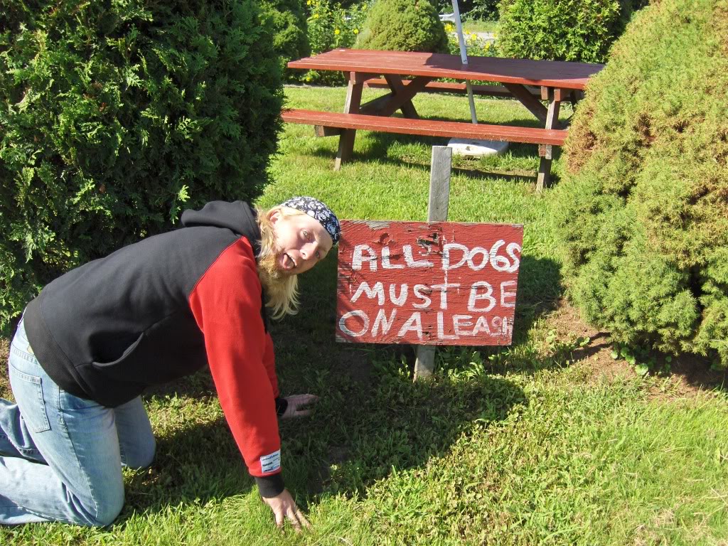 Name:  MtWashington003.jpg
Views: 36
Size:  315.4 KB