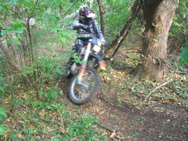 Name:  IMG_4387.jpg
Views: 125
Size:  91.2 KB