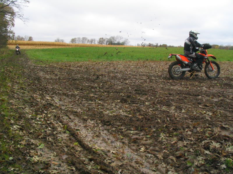 Name:  IMG_4587.jpg
Views: 101
Size:  140.9 KB