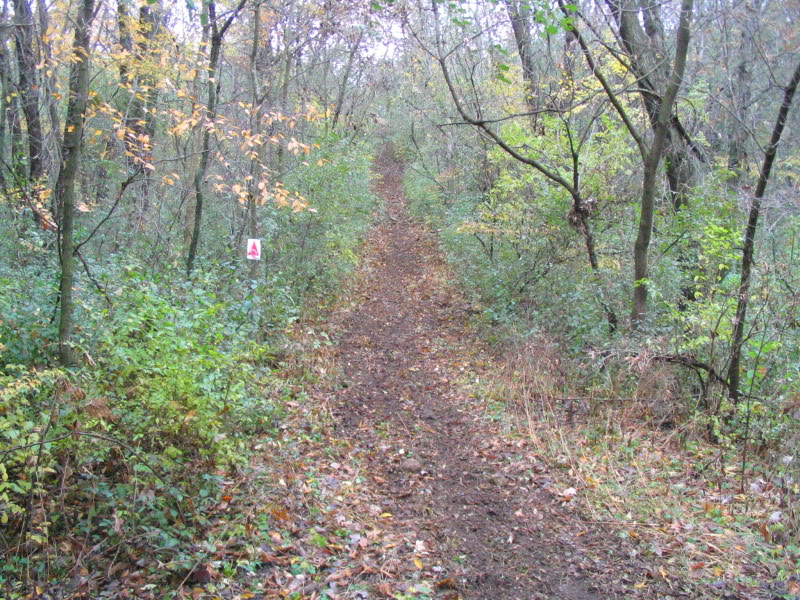 Name:  IMG_4594.jpg
Views: 100
Size:  220.0 KB