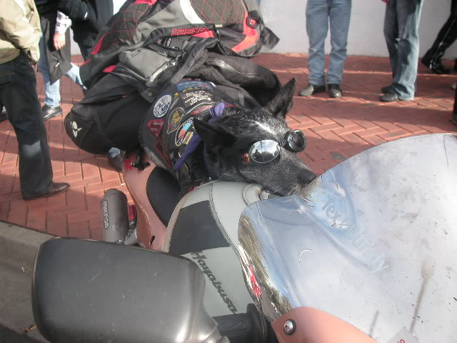 Name:  PICT0038-2.jpg
Views: 80
Size:  59.3 KB
