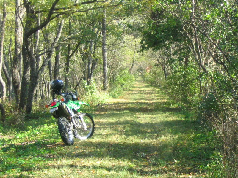 Name:  IMG_4555.jpg
Views: 64
Size:  209.3 KB