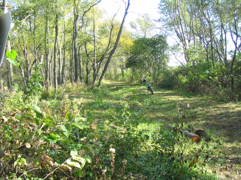 Name:  IMG_4554.jpg
Views: 69
Size:  225.7 KB