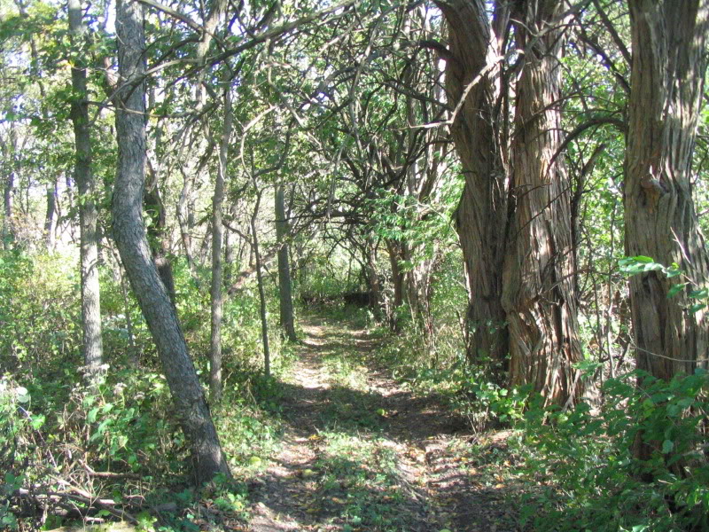 Name:  IMG_4556.jpg
Views: 38
Size:  222.6 KB