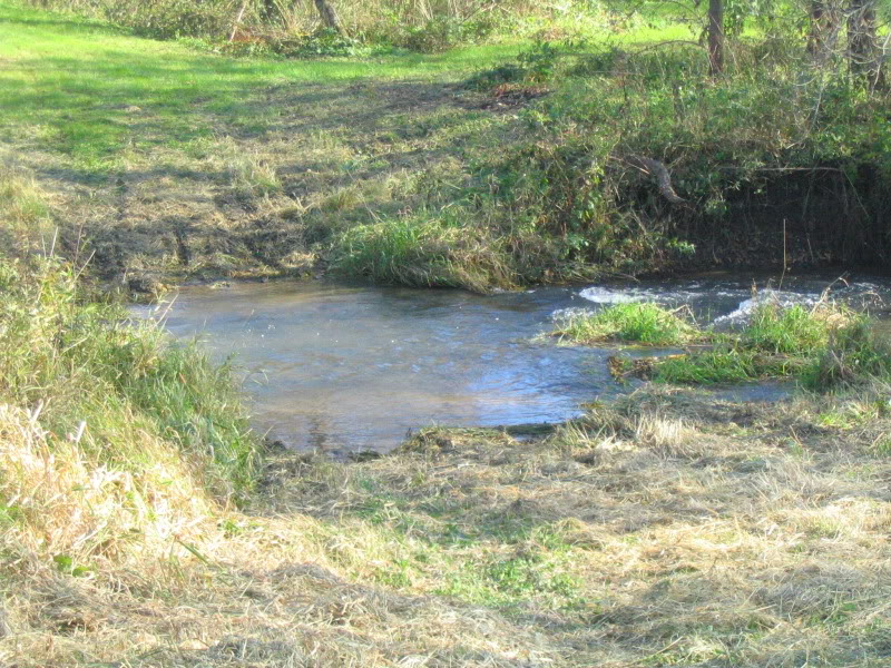 Name:  IMG_4572.jpg
Views: 37
Size:  188.8 KB