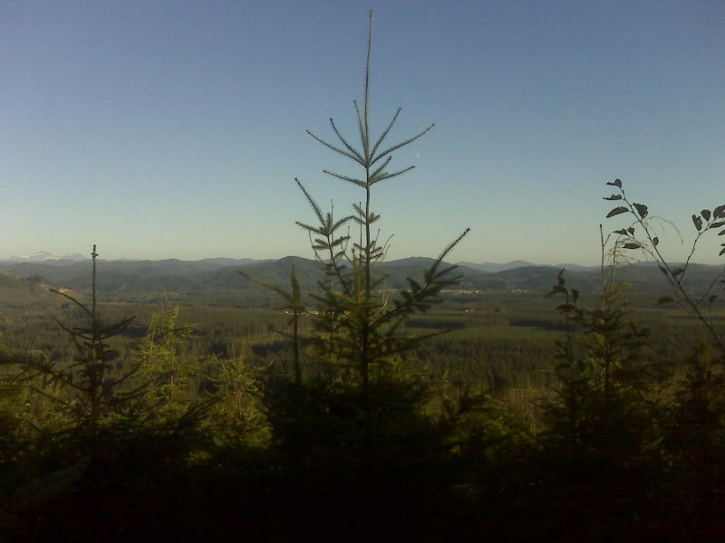 Name:  IMG01774.jpg
Views: 105
Size:  51.0 KB