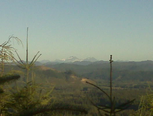 Name:  IMG01775.jpg
Views: 78
Size:  25.7 KB