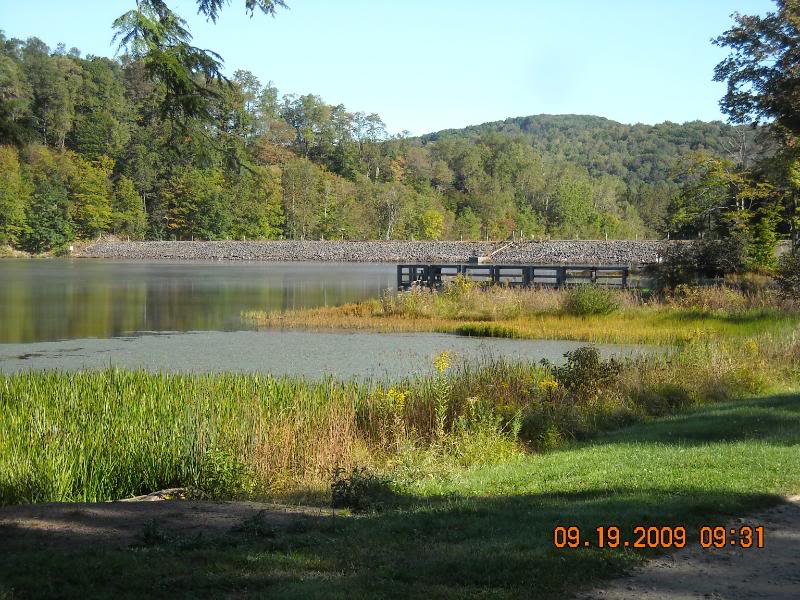 Name:  DSCN1982.jpg
Views: 172
Size:  122.4 KB