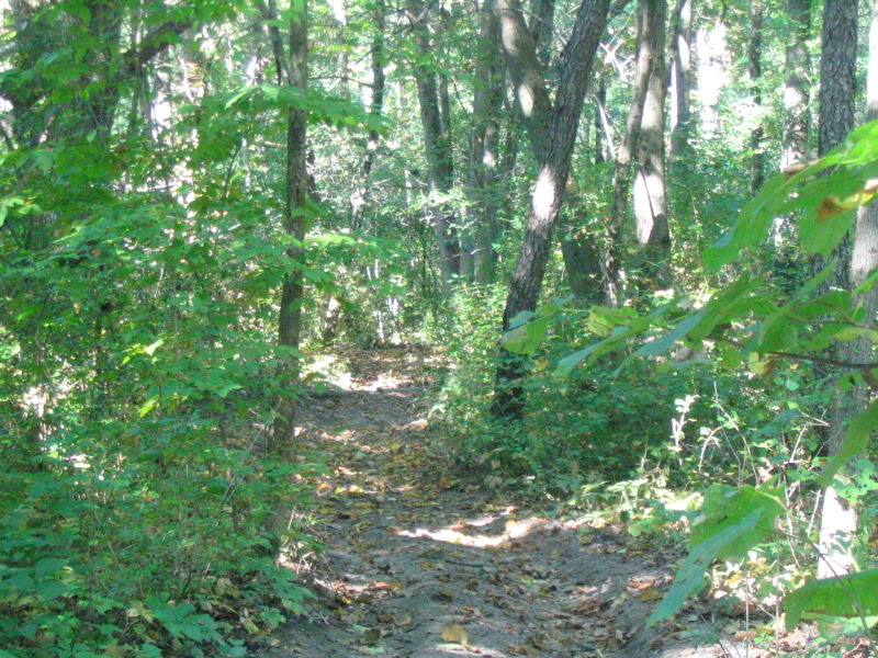 Name:  IMG_4518.jpg
Views: 17
Size:  195.1 KB