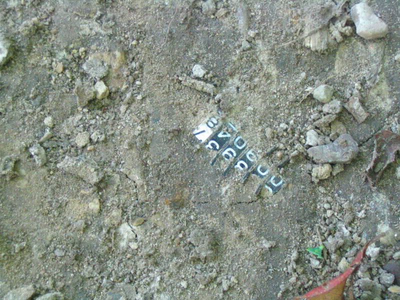 Name:  IMG_4527.jpg
Views: 18
Size:  186.9 KB