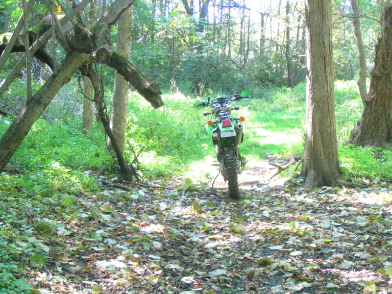 Name:  IMG_4534.jpg
Views: 19
Size:  207.8 KB