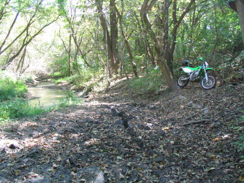 Name:  IMG_4541.jpg
Views: 18
Size:  212.2 KB